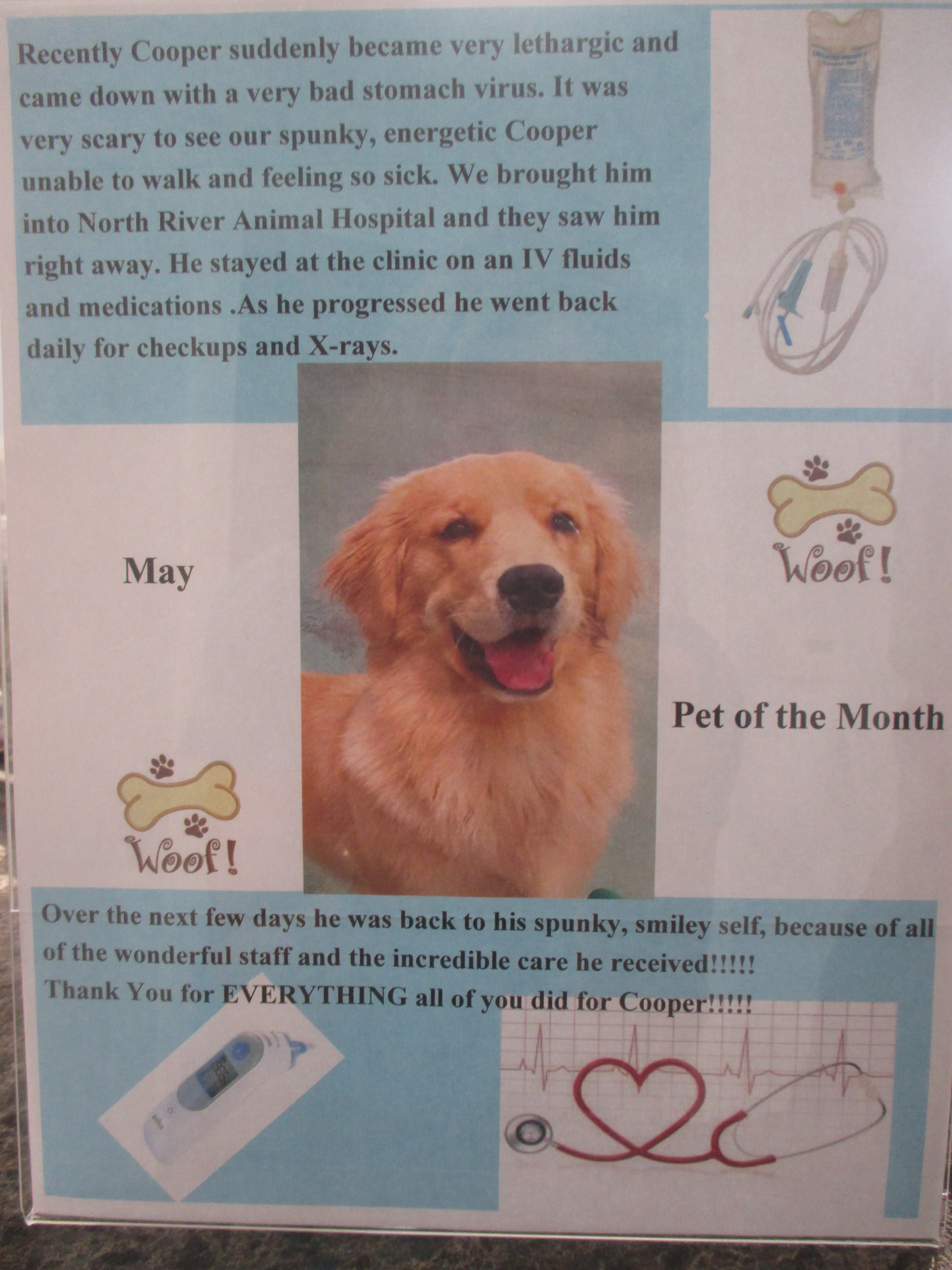 May pet of the month